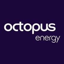 octopus energy